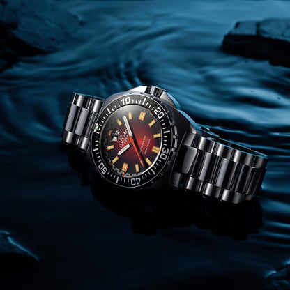 DELMA - Shell Star Big Date LE Auto | 41703.736.6.091