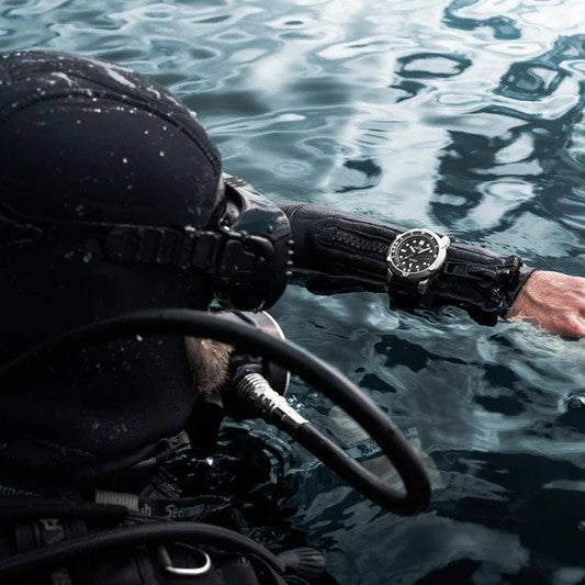 DELMA - Quattro LE Auto | 41701.744.6.048