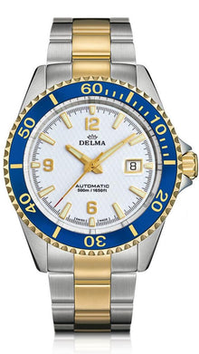 DELMA - Santiago Auto | 52701.560.6.014