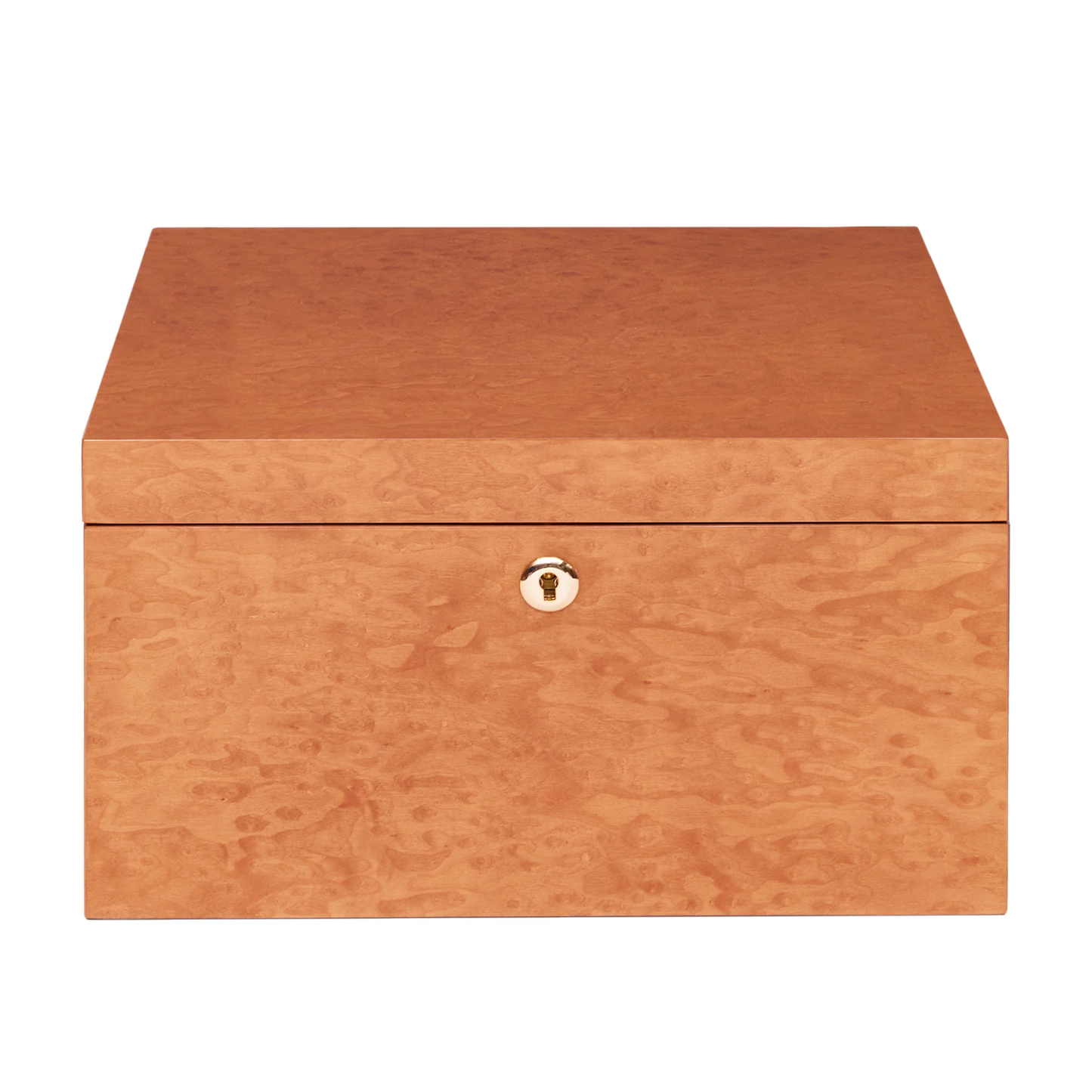 Rapport - Heritage Watch Box 16  | L281