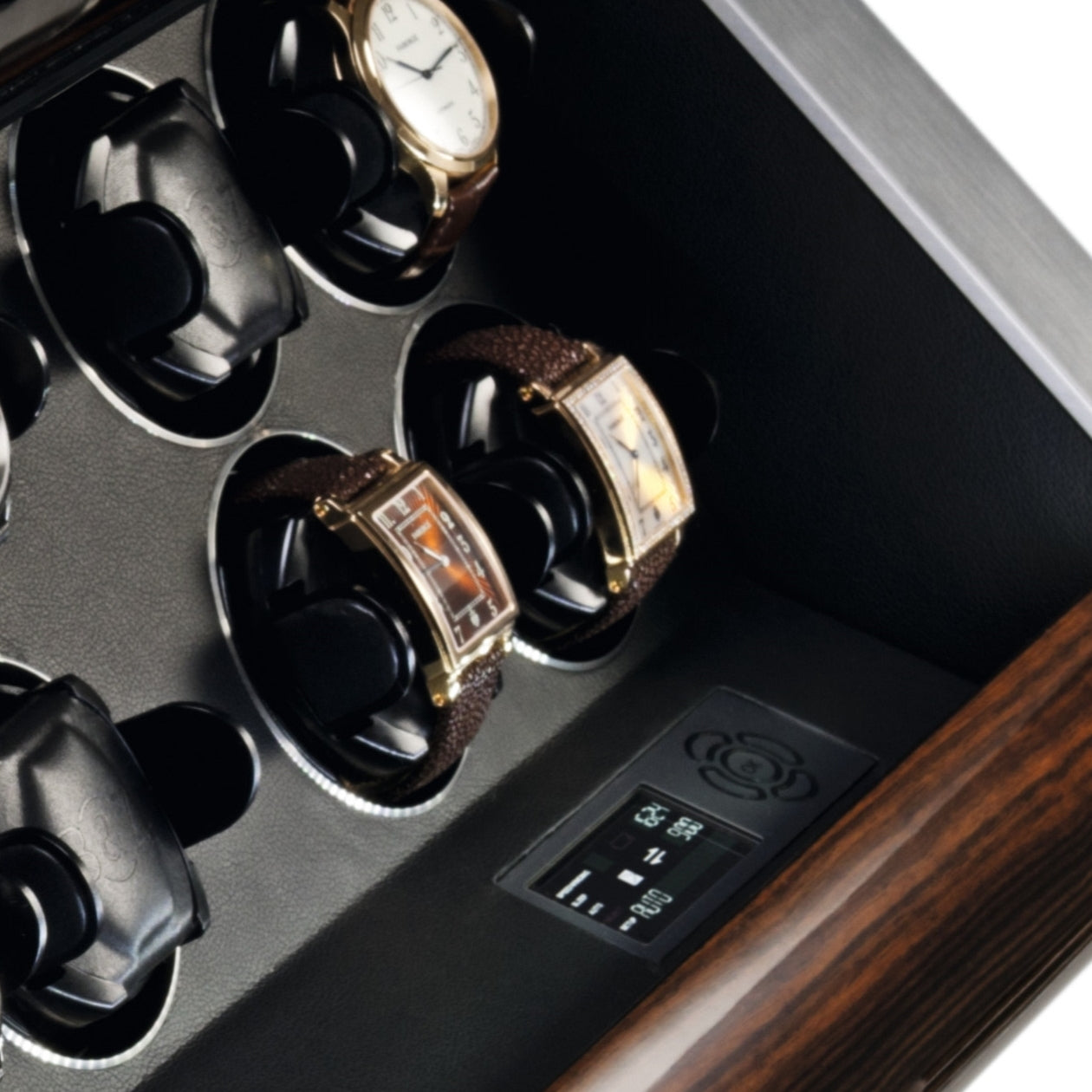 Revolution 8 | Macassar