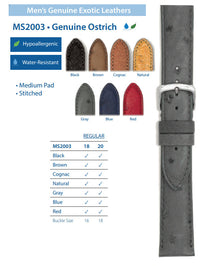 Hadley Roma - Ostrich Watch Band | MS2003