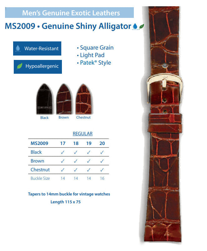 Hadley Roma - Alligator Watch Band | MS2009