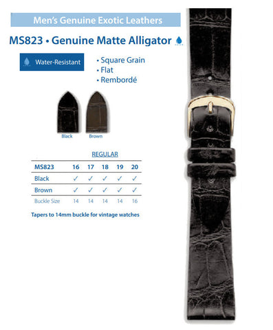 Hadley Roma - Alligator Watch Band | MS823