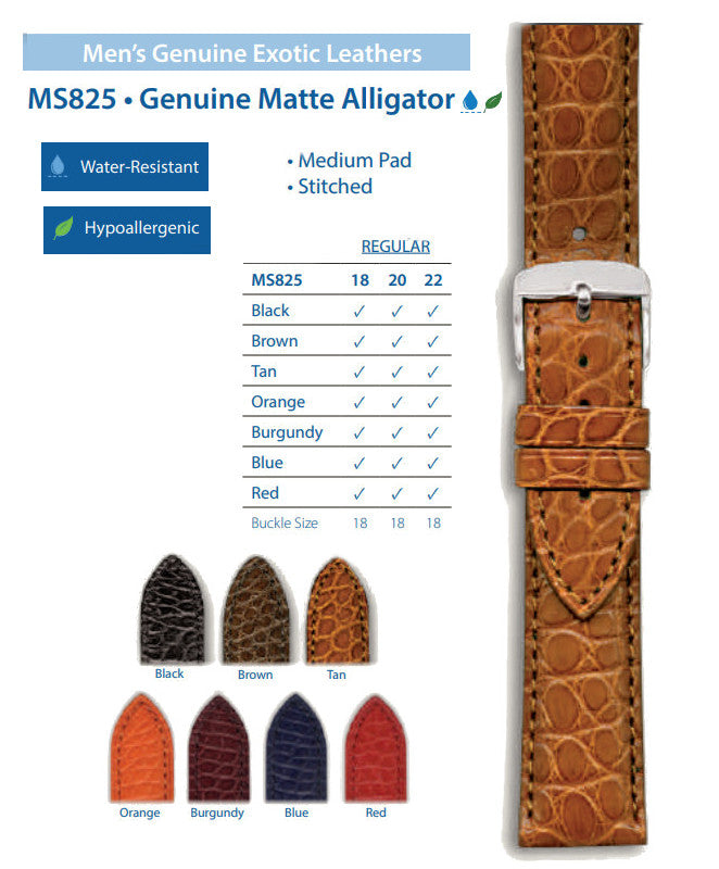 Hadley Roma - Alligator Watch Band | MS825